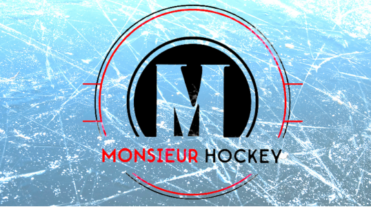 Magasin pour passionnés d'hockey service de location aiguisage de patin réparation vente équipement neuf usagés distributeur Blocker Sleeve